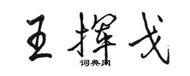 駱恆光王揮戈行書個性簽名怎么寫