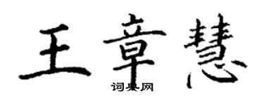 丁謙王章慧楷書個性簽名怎么寫