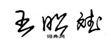 朱錫榮王昭斌草書個性簽名怎么寫