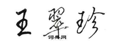 駱恆光王翠珍行書個性簽名怎么寫