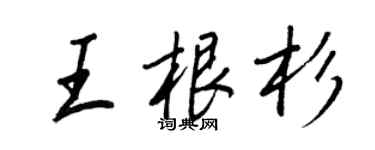 王正良王根杉行書個性簽名怎么寫