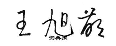 駱恆光王旭萌草書個性簽名怎么寫