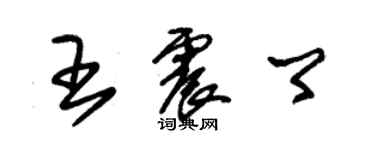 朱錫榮王震卿草書個性簽名怎么寫