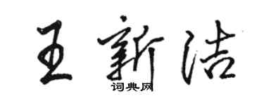 駱恆光王新潔行書個性簽名怎么寫