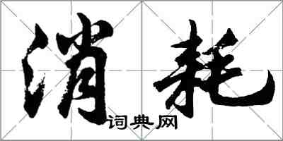 胡問遂消耗行書怎么寫