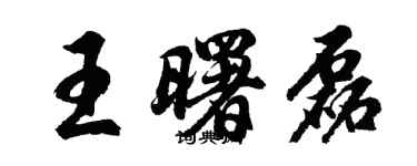 胡問遂王曙磊行書個性簽名怎么寫