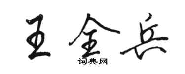 駱恆光王全兵行書個性簽名怎么寫