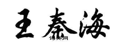 胡問遂王秦海行書個性簽名怎么寫
