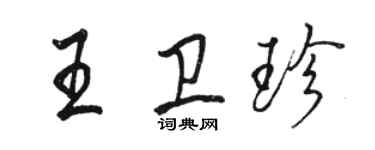 駱恆光王衛珍行書個性簽名怎么寫