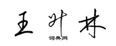 梁錦英王升林草書個性簽名怎么寫