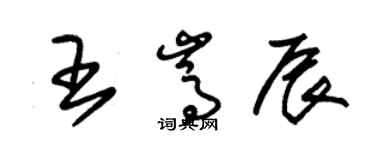 朱錫榮王嵩辰草書個性簽名怎么寫