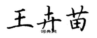 丁謙王卉苗楷書個性簽名怎么寫