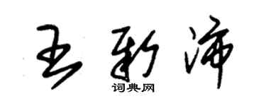 朱錫榮王新沛草書個性簽名怎么寫