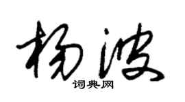 朱錫榮楊波草書個性簽名怎么寫