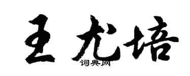 胡問遂王尤培行書個性簽名怎么寫