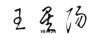 駱恆光王星陽草書個性簽名怎么寫