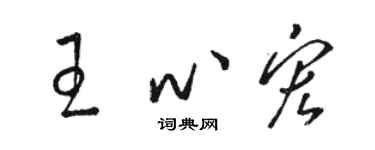 駱恆光王心宏草書個性簽名怎么寫