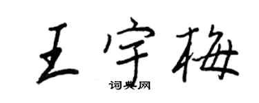 王正良王宇梅行書個性簽名怎么寫