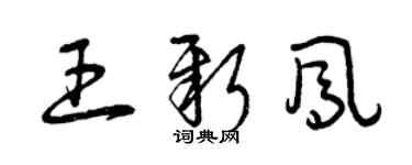 曾慶福王新鳳草書個性簽名怎么寫