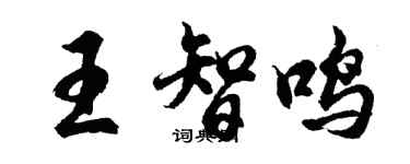 胡問遂王智鳴行書個性簽名怎么寫