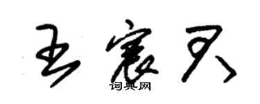 朱錫榮王宸君草書個性簽名怎么寫