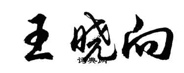 胡問遂王曉向行書個性簽名怎么寫