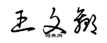 曾慶福王文贏草書個性簽名怎么寫