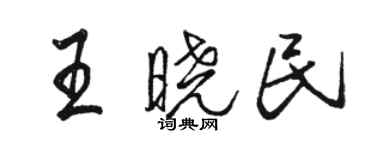 駱恆光王曉民行書個性簽名怎么寫