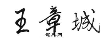 駱恆光王章城行書個性簽名怎么寫