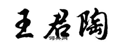 胡問遂王君陶行書個性簽名怎么寫