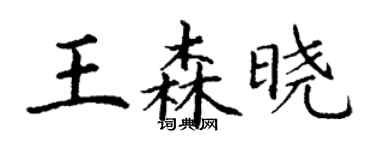 丁謙王森曉楷書個性簽名怎么寫