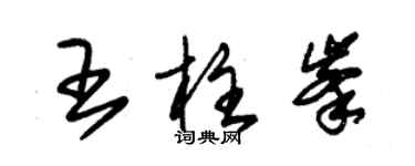 朱錫榮王柱峰草書個性簽名怎么寫