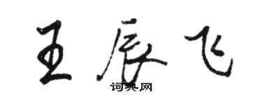 駱恆光王辰飛行書個性簽名怎么寫