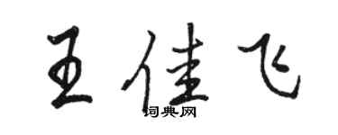 駱恆光王佳飛行書個性簽名怎么寫