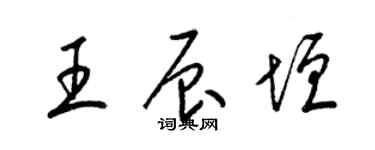 梁錦英王辰垣草書個性簽名怎么寫