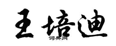 胡問遂王培迪行書個性簽名怎么寫
