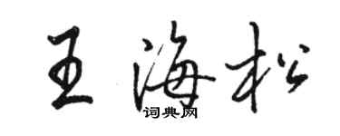 駱恆光王海松行書個性簽名怎么寫