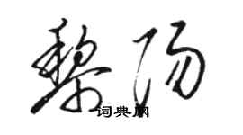 駱恆光黎陽草書個性簽名怎么寫