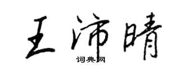 王正良王沛晴行書個性簽名怎么寫