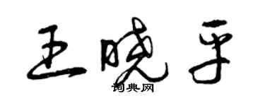 曾慶福王曉平草書個性簽名怎么寫