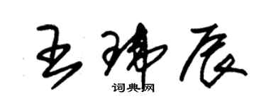 朱錫榮王瑋辰草書個性簽名怎么寫