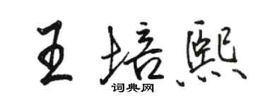 駱恆光王培熙行書個性簽名怎么寫