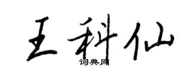 王正良王科仙行書個性簽名怎么寫