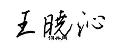 王正良王曉沁行書個性簽名怎么寫