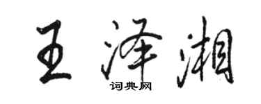 駱恆光王澤湘行書個性簽名怎么寫