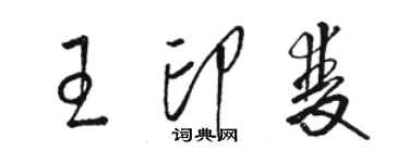 駱恆光王印雙草書個性簽名怎么寫