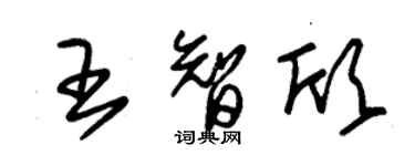 朱錫榮王智欣草書個性簽名怎么寫