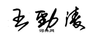 朱錫榮王勁凌草書個性簽名怎么寫