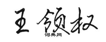駱恆光王領權行書個性簽名怎么寫