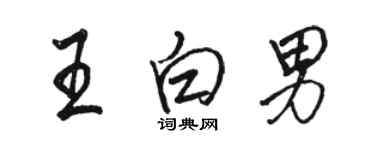 駱恆光王白男行書個性簽名怎么寫